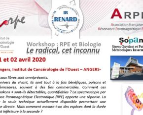 Workshop : « RPE et biologie : Le radical, cet inconnu… » – 1er et 2 avril 2020 – Angers