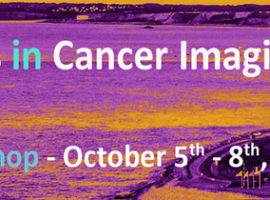 [Agenda] 15th workshop of the “Tumour Targeting, Imaging, Radiotherapies” network