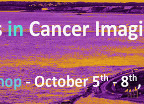 [Agenda] 15th workshop of the “Tumour Targeting, Imaging, Radiotherapies” network